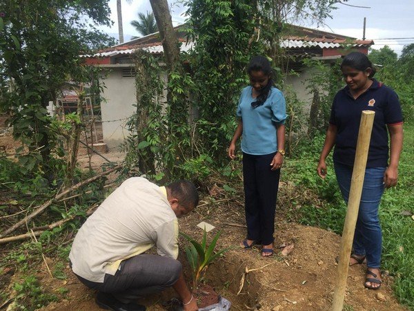 A tree planting program at "Sanhinda" Elderly Daycare Center (2024-06-06)